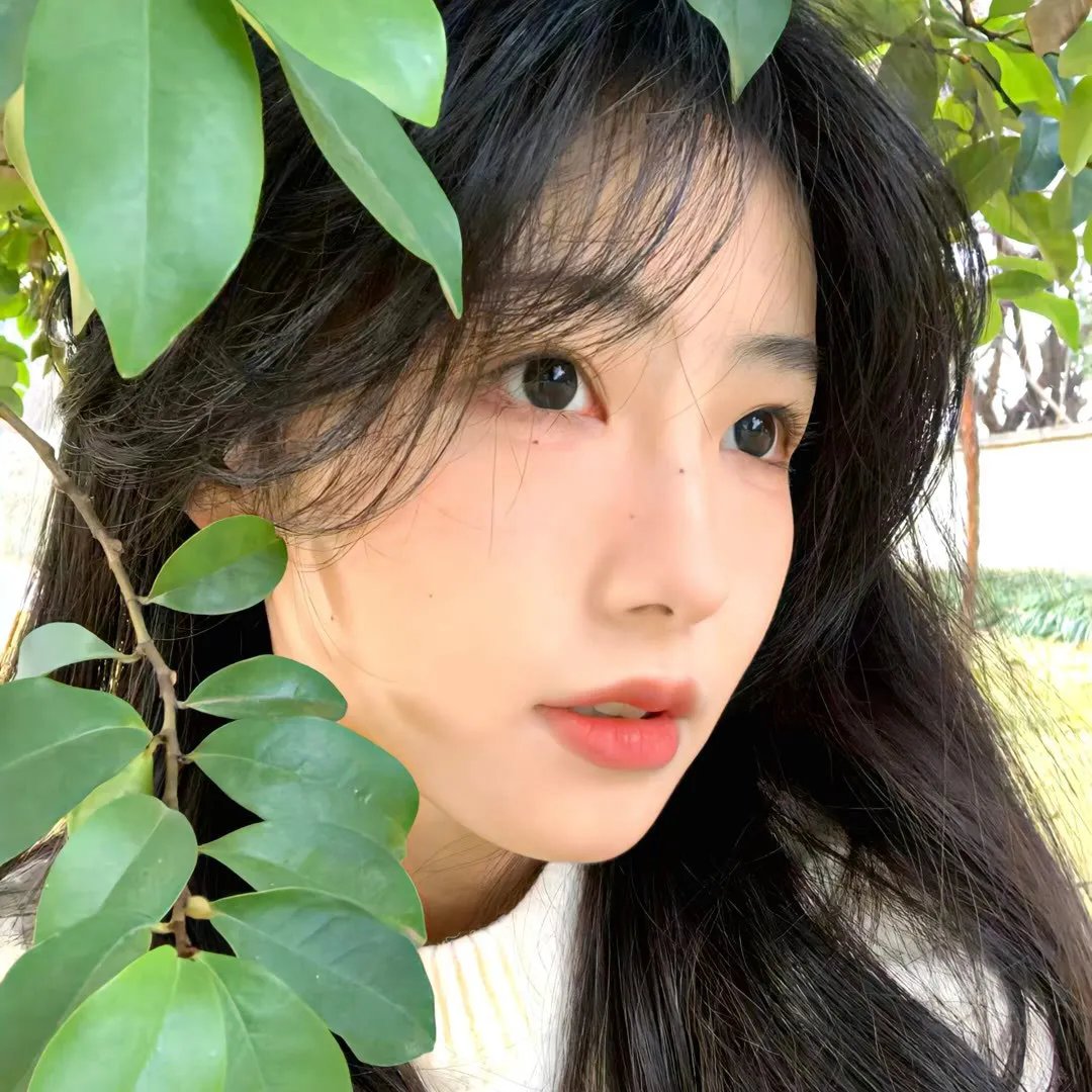 「莉可丽丝」Friends are thieves of time.